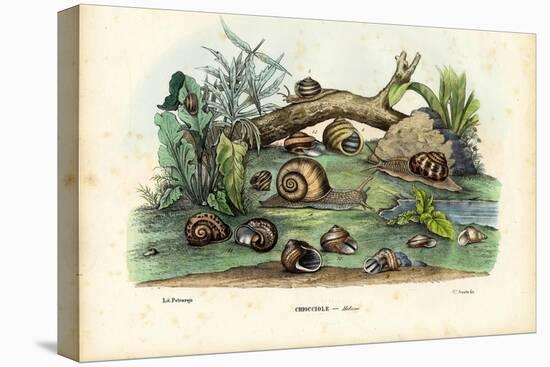 Snails, 1863-79-Raimundo Petraroja-Premier Image Canvas