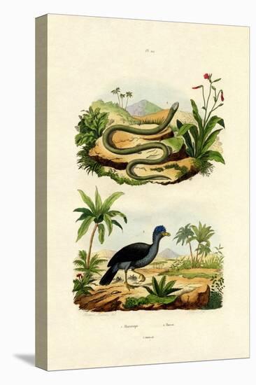 Snake, 1833-39-null-Premier Image Canvas