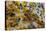 Snake River Dendritic Agate-Darrell Gulin-Premier Image Canvas