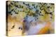 Snake River Dendritic Agate-Darrell Gulin-Premier Image Canvas