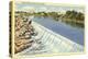 Snake River, Idaho Falls, Idaho-null-Stretched Canvas