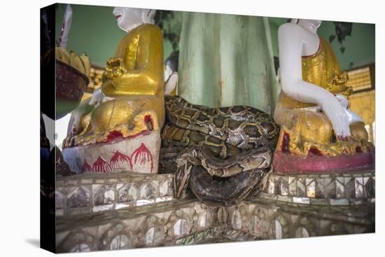 Snake Temple (Mwe Paya) Between Dalah and Twante, across the River from Yangon, Myanmar (Burma)-Matthew Williams-Ellis-Premier Image Canvas