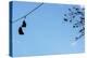 Sneakers on a Wire-null-Stretched Canvas