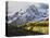 Sneffels Range with Aspens in Fall Colors, Near Ouray, Colorado-James Hager-Premier Image Canvas