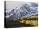 Sneffels Range with Aspens in Fall Colors, Near Ouray, Colorado-James Hager-Premier Image Canvas