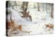 Snipe in Wooded Landscape-Carl Donner-Premier Image Canvas
