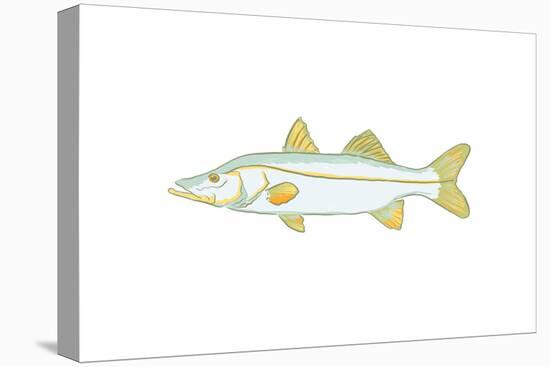 Snook Fish - Icon-Lantern Press-Stretched Canvas