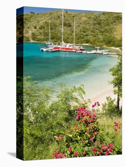Snorkelers in Idyllic Pirates Bight Cove, Bight, British Virgin Islands-Trish Drury-Premier Image Canvas