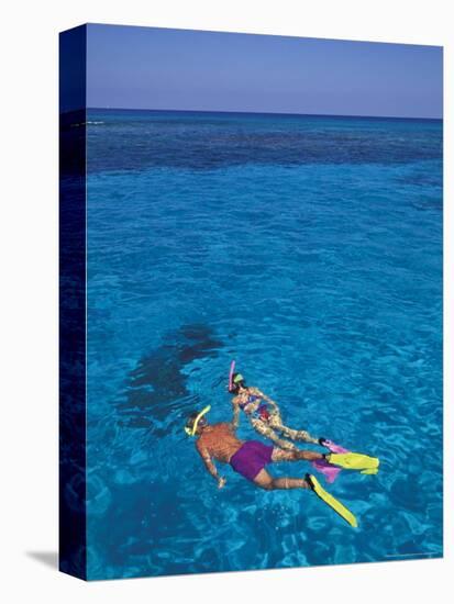 Snorkeling in Clear Waters, Bahamas, Caribbean-Greg Johnston-Premier Image Canvas