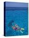 Snorkeling in Clear Waters, Bahamas, Caribbean-Greg Johnston-Premier Image Canvas