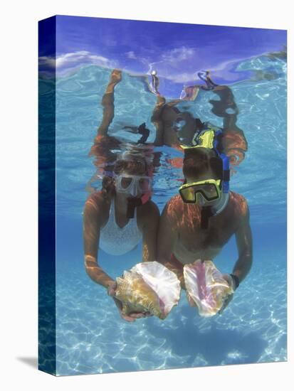 Snorkeling in the Blue Waters of the Bahamas-Greg Johnston-Premier Image Canvas