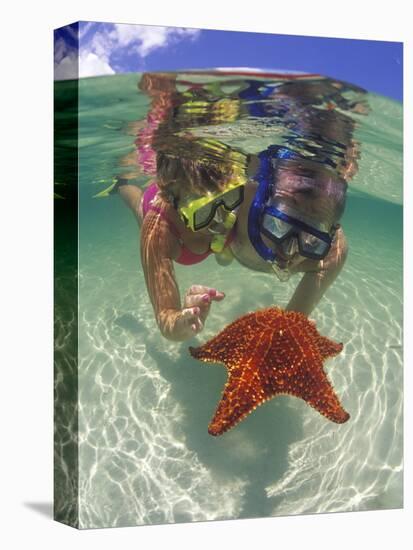 Snorkeling in the Blue Waters of the Bahamas-Greg Johnston-Premier Image Canvas