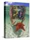 Snorkeling in the Blue Waters of the Bahamas-Greg Johnston-Premier Image Canvas