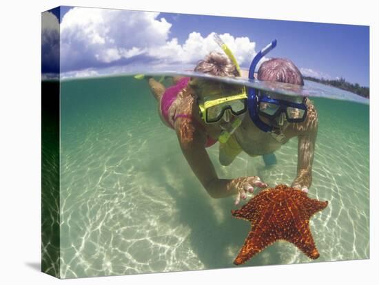 Snorkeling in the Blue Waters of the Bahamas-Greg Johnston-Premier Image Canvas