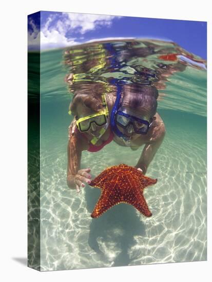 Snorkeling in the Blue Waters of the Bahamas-Greg Johnston-Premier Image Canvas