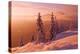 Snovy Trees on Winter Mountains-mr. Smith-Premier Image Canvas