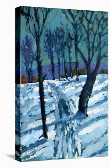 Snow,2015-Paul Powis-Premier Image Canvas