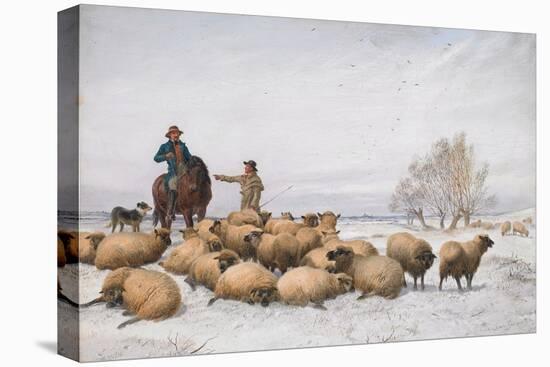Snow and Sheep, 1884 (Oil on Board)-Thomas Sidney Cooper-Premier Image Canvas