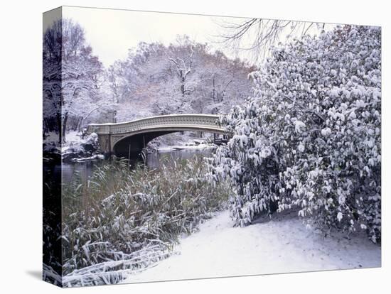 Snow at Bow Bridge in Central Park-Alan Schein-Premier Image Canvas