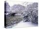 Snow at Bow Bridge in Central Park-Alan Schein-Premier Image Canvas