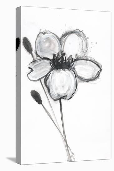 Snow Blossom 1-Filippo Ioco-Stretched Canvas