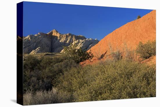 Snow Canyon State Park, St. George, Utah, United States of America, North America-Richard Cummins-Premier Image Canvas