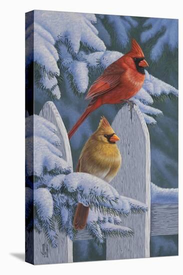 Snow Cardinals-Jeffrey Hoff-Premier Image Canvas