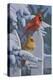 Snow Cardinals-Jeffrey Hoff-Premier Image Canvas