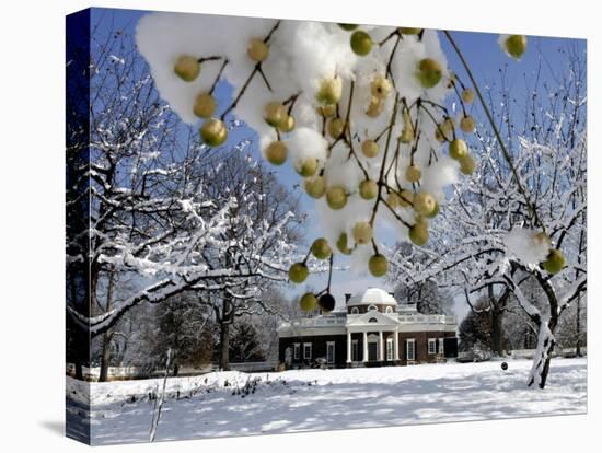 Snow Clings to Branches of a Berry Tree on the South Lawn of Thomas Jefferson's Home-null-Premier Image Canvas