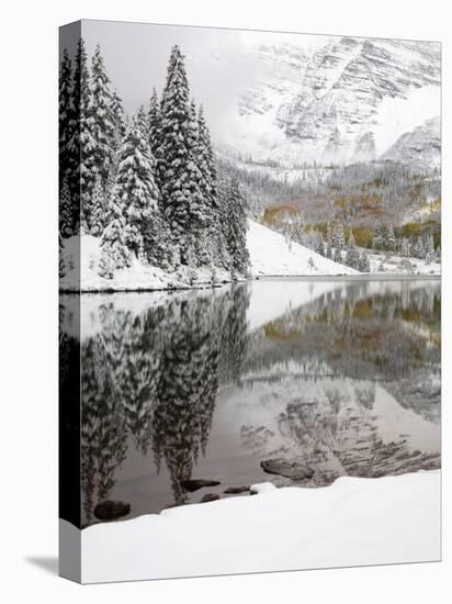 Snow Covered Aspens, Maroon Bells, Colorado, USA-Terry Eggers-Premier Image Canvas