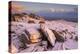 Snow covered Belstone tor at dawn, Dartmoor, Devon, England. Winter (January) 2016.-Adam Burton-Premier Image Canvas