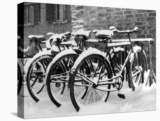 Snow-Covered Bicycles-Fred Musto-Premier Image Canvas