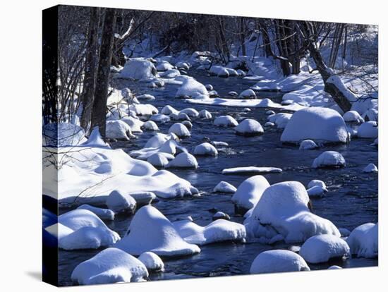 Snow covered boulders along the Hughes River, Shenandoah National Park, Virginia, USA-Charles Gurche-Premier Image Canvas