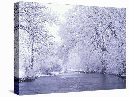 Snow Covered Branches Overhanging Beargrass Creek, Louisville, Kentucky, USA-Adam Jones-Premier Image Canvas