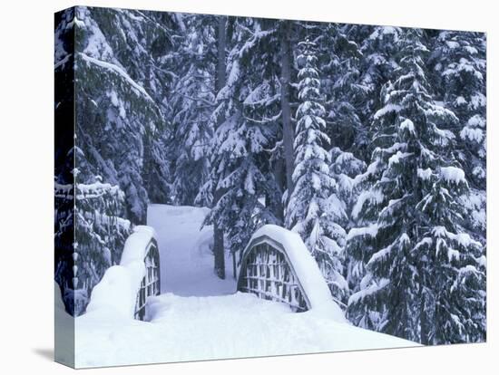 Snow-Covered Bridge and Fir Trees, Washington, USA-Merrill Images-Premier Image Canvas