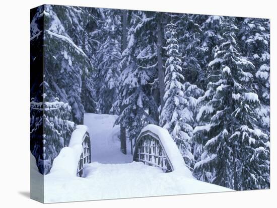 Snow-Covered Bridge and Fir Trees, Washington, USA-Merrill Images-Premier Image Canvas
