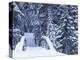 Snow-Covered Bridge and Fir Trees, Washington, USA-Merrill Images-Premier Image Canvas