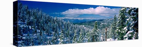 Snow Covered Pine Trees in a Forest with a Lake in the Background, Lake Tahoe, California, USA-null-Premier Image Canvas