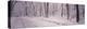 Snow Covered Road, Holland, Michigan, USA-null-Premier Image Canvas