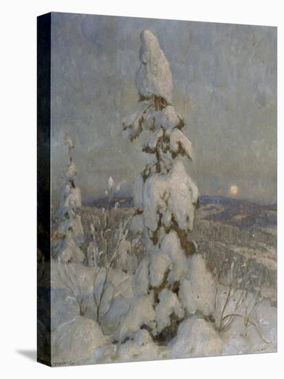 Snow Covered Spruce in Moonlight-Thorolf Holmboe-Premier Image Canvas