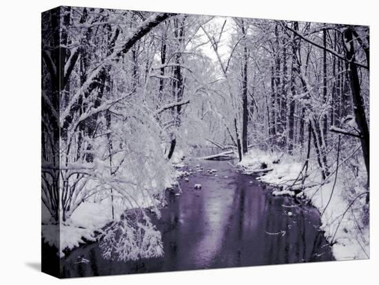 Snow Covered Trees along Creek in Winter Landscape-Jan Lakey-Premier Image Canvas