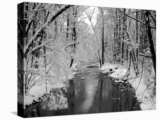 Snow Covered Trees along Creek in Winter Landscape-Jan Lakey-Premier Image Canvas