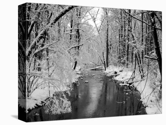 Snow Covered Trees along Creek in Winter Landscape-Jan Lakey-Premier Image Canvas