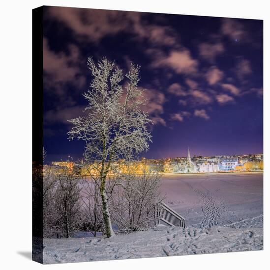 Snow Covered Trees and Frozen Pond, Reykjavik, Iceland-null-Premier Image Canvas