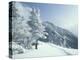 Snow Covered Trees and Snowshoe Tracks, White Mountain National Forest, New Hampshire, USA-Jerry & Marcy Monkman-Premier Image Canvas