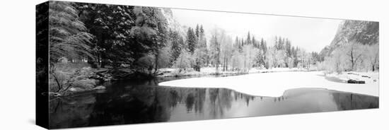 Snow Covered Trees in a Forest, Yosemite National Park, California, USA-null-Premier Image Canvas