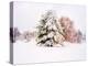 Snow Covered Trees in Winter Landscape-Jan Lakey-Premier Image Canvas