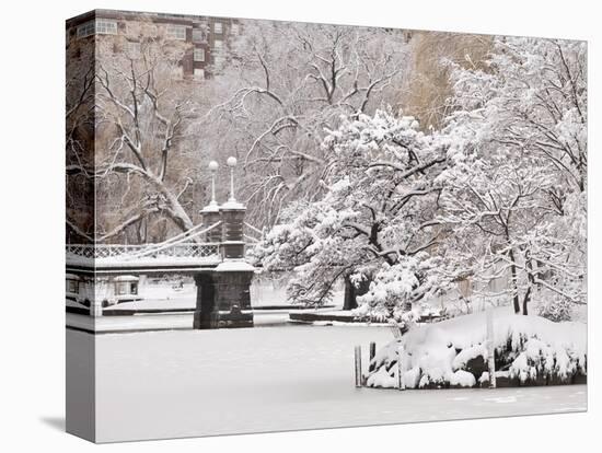 Snow covered trees with a footbridge in a public park, Boston Public Garden, Boston, Massachusetts,-Mark Hunt-Premier Image Canvas