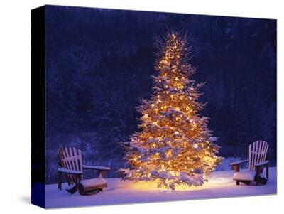 'Snow Covering Adirondack Chairs by Lit Christmas Tree' Photographic ...