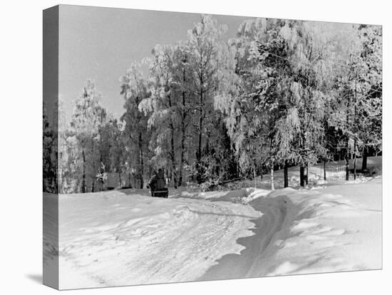 Snow Covering Countryside Near Lake Ladoga-Carl Mydans-Premier Image Canvas